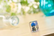 Fairy Tail - Jellal Fernandes - FAIRY TAIL×Bfull 1st Full Color 3D Crystal Figure - Full Color 3D Crystal Figure (B'full, Fots Japan)