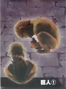Shingeki no Kyojin - Kyojin - Figure Puzzle Set - Shingeki no Kyojin Kyojin Daihassei -Kyojin Tsumiage Sakusen- (Fragment)