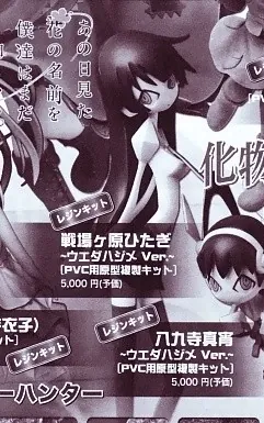 Bakemonogatari - Senjougahara Hitagi - Ueda Hajime ver. (Ques Q)