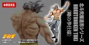 Hokuto no Ken - Toki - Hokuto Kyuukyoku Zoukei Series - Gou No Kenshi-sama Shokisetteiban (CCP)