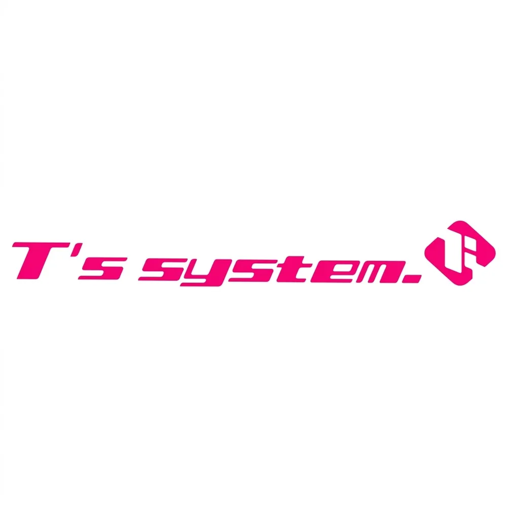 โลโก้ T's System