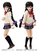 Mahou Shoujo Madoka☆Magica - Akemi Homura - Kyuubey - PureNeemo - PureNeemo Characters - 1/6 - School Uniform ver. (Azone)